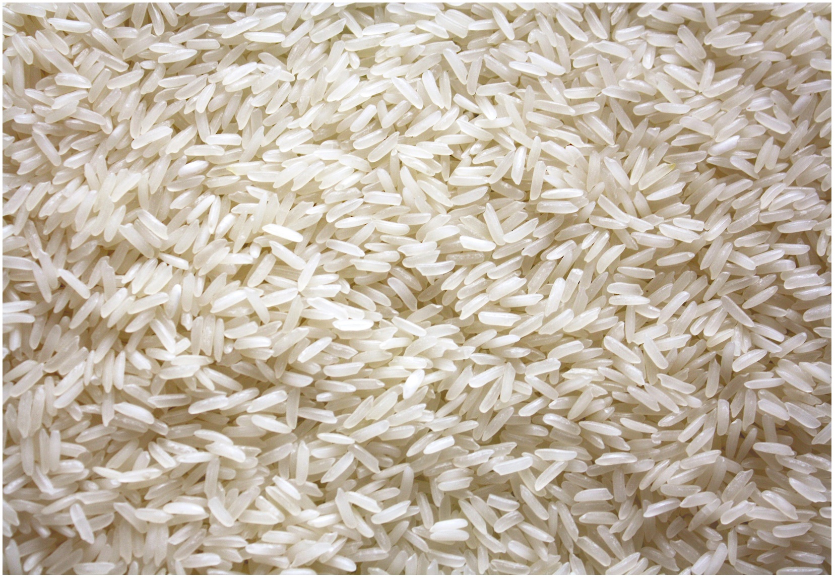 Rice Cultivation