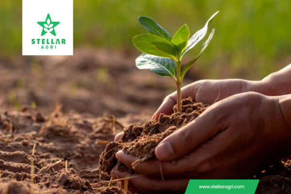 Sustainable-Farming-Practices