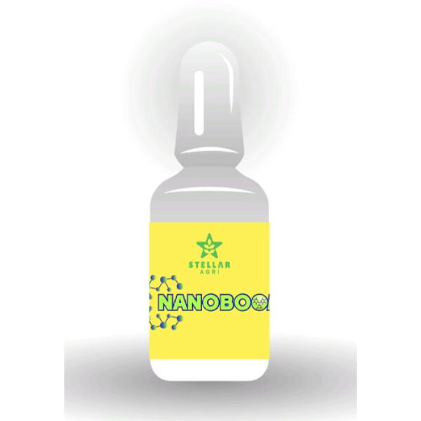 NANOBOOM