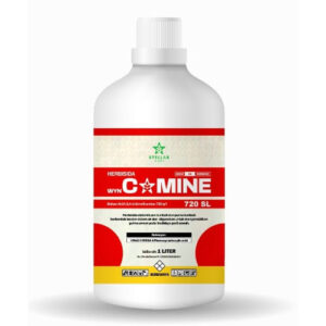 wynCAMINE